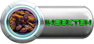 Getrocknete Insekten